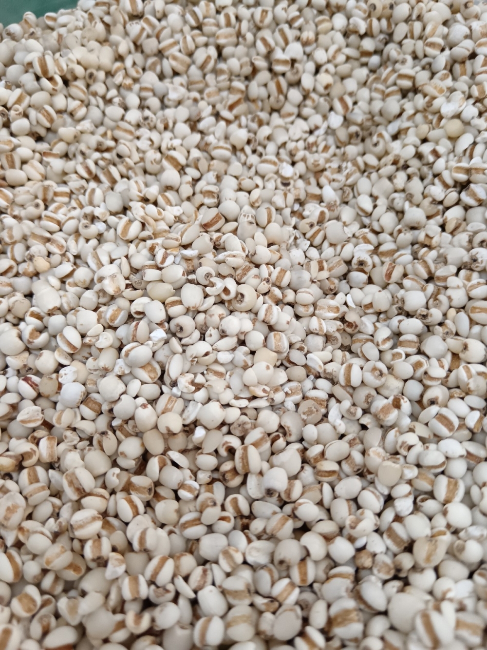 1736918843333f3_China_Barley_30kg_.jpg
