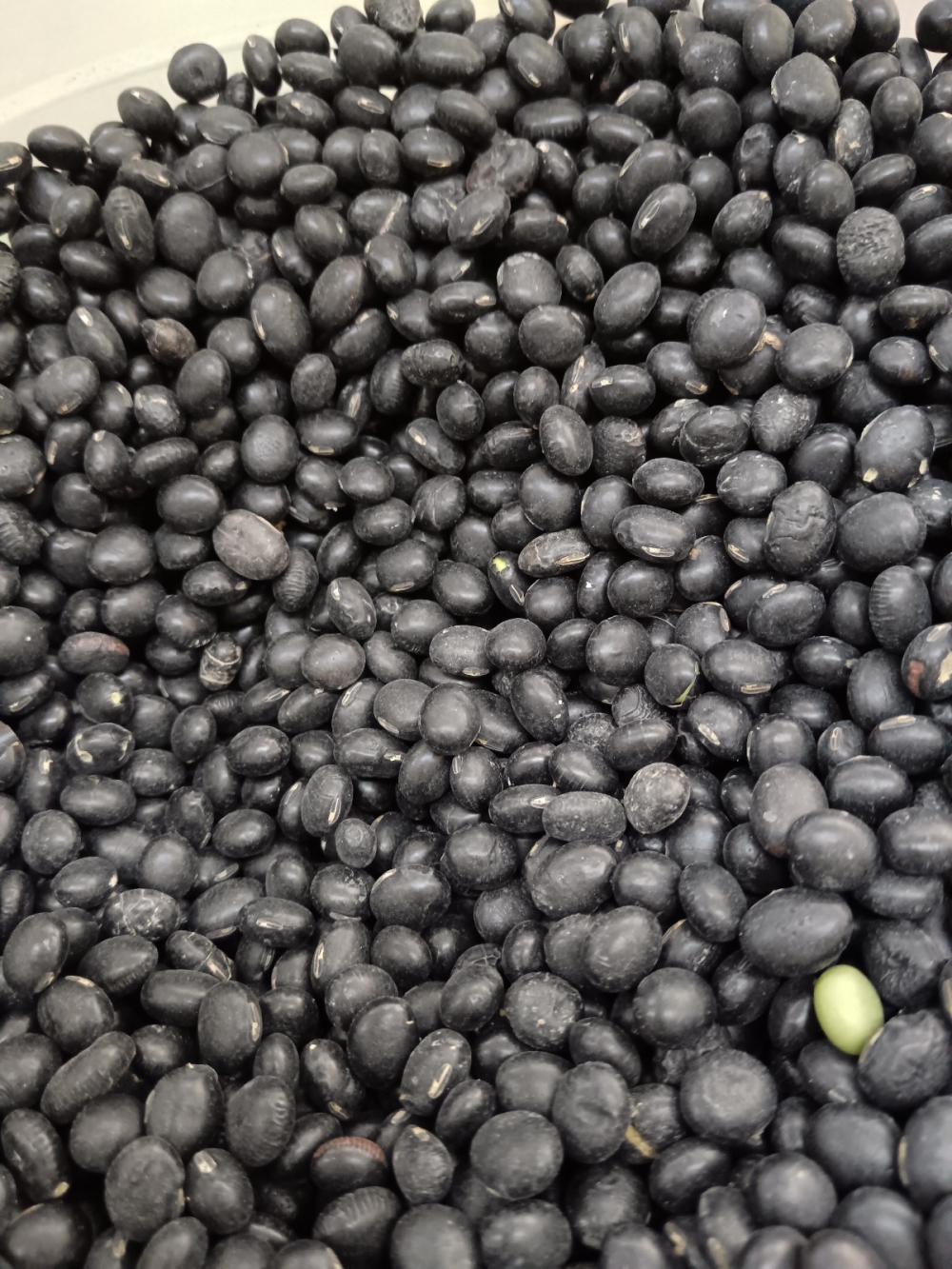 173691930169589_Kacang_Hitam_10kg_.jpg