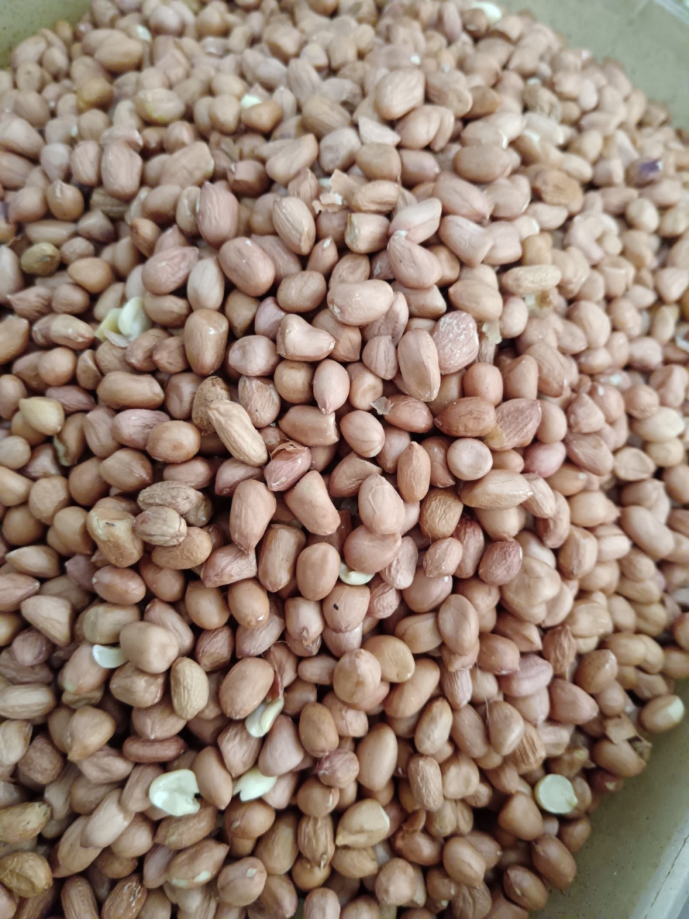 17369193016b1ff_Kacang_Tanah_Goreng_25kg_.jpg